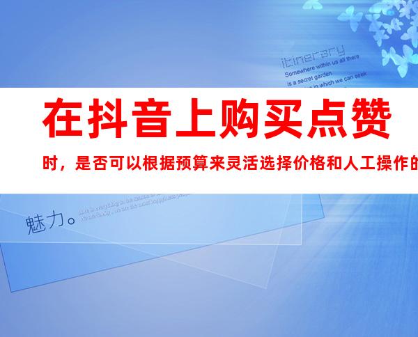 在抖音上购买点赞时，是否可以根据预算来灵活选择价格和人工操作的方案？