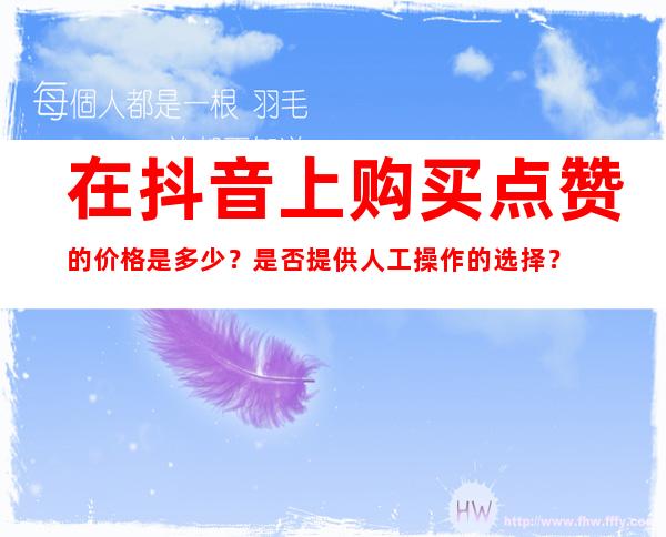 在抖音上购买点赞的价格是多少？是否提供人工操作的选择？