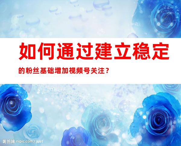 如何通过建立稳定的粉丝基础增加视频号关注？