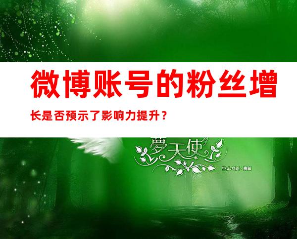 微博账号的粉丝增长是否预示了影响力提升？