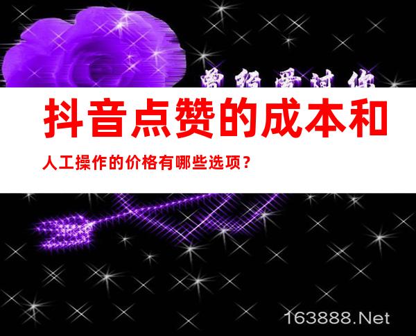 抖音点赞的成本和人工操作的价格有哪些选项？