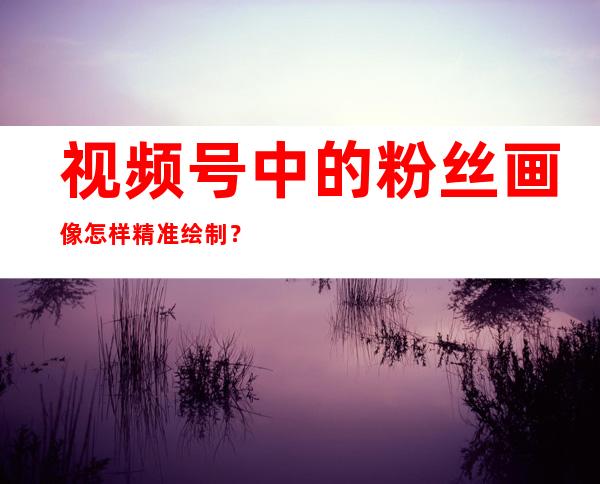 视频号中的粉丝画像怎样精准绘制？