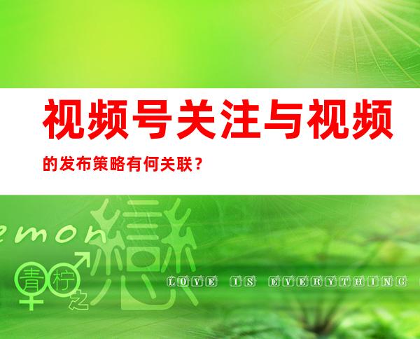 视频号关注与视频的发布策略有何关联？