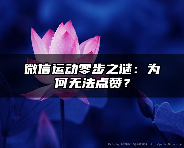 微信运动零步之谜：为何无法点赞？