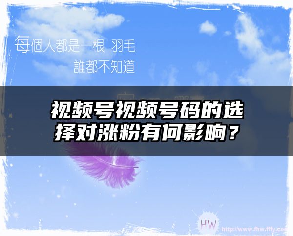 视频号视频号码的选择对涨粉有何影响？