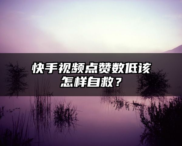 快手视频点赞数低该怎样自救？