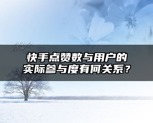 快手点赞数与用户的实际参与度有何关系？