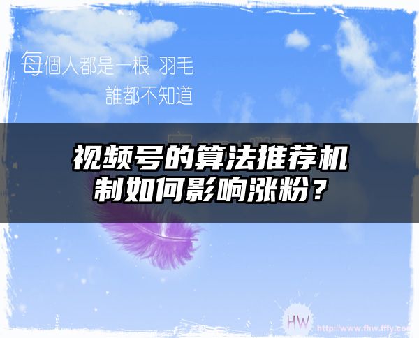 视频号的算法推荐机制如何影响涨粉？