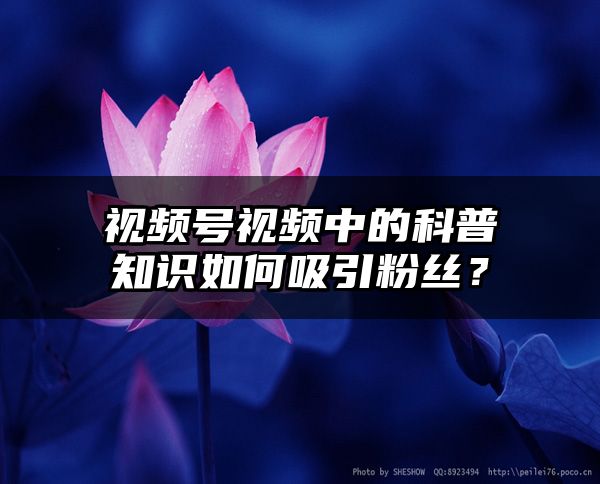 视频号视频中的科普知识如何吸引粉丝？