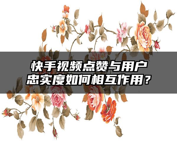 快手视频点赞与用户忠实度如何相互作用？