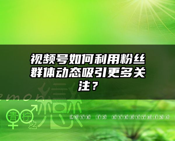 视频号如何利用粉丝群体动态吸引更多关注？