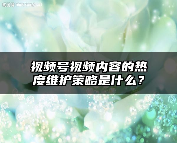 视频号视频内容的热度维护策略是什么？