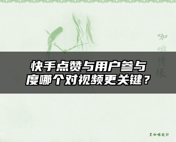 快手点赞与用户参与度哪个对视频更关键？