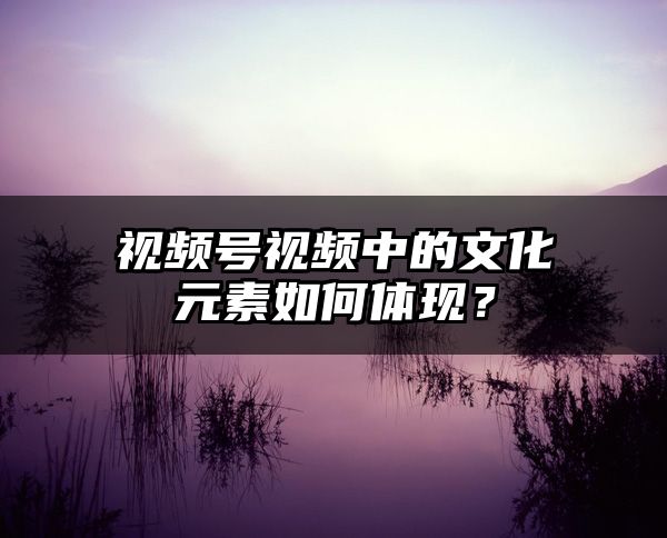 视频号视频中的文化元素如何体现？