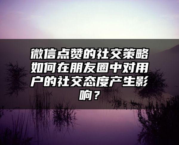 微信点赞的社交策略如何在朋友圈中对用户的社交态度产生影响？