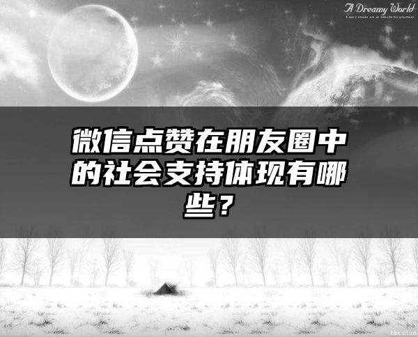 微信点赞在朋友圈中的社会支持体现有哪些？