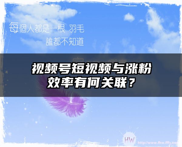 视频号短视频与涨粉效率有何关联？