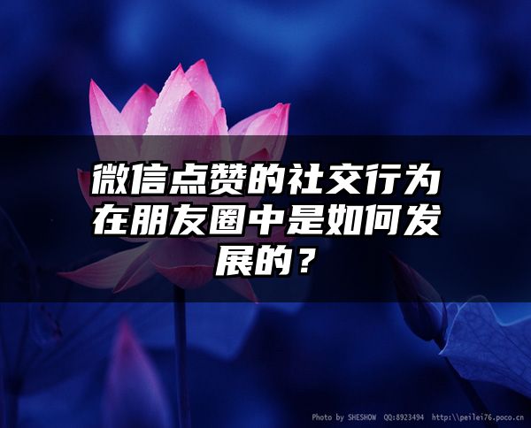 微信点赞的社交行为在朋友圈中是如何发展的？