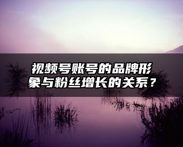 视频号账号的品牌形象与粉丝增长的关系？