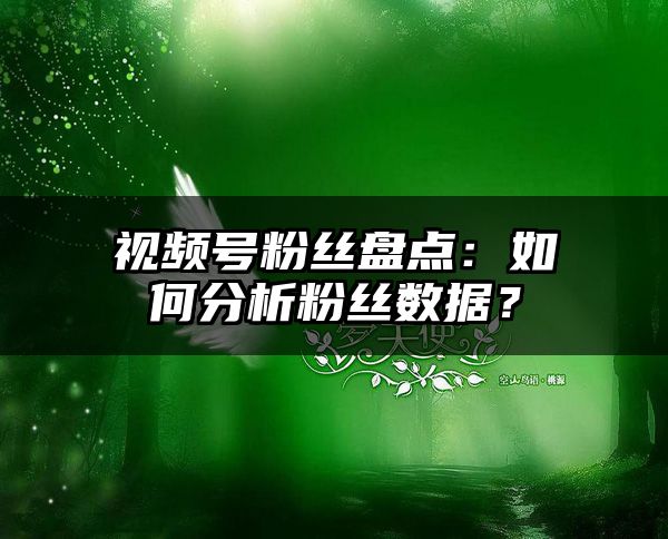 视频号粉丝盘点：如何分析粉丝数据？