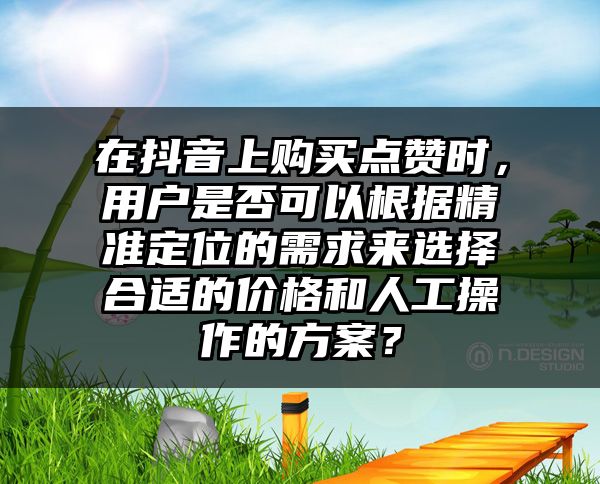 在抖音上购买点赞时，用户是否可以根据精准定位的需求来选择合适的价格和人工操作的方案？