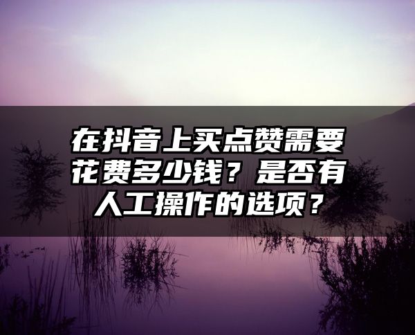 在抖音上买点赞需要花费多少钱？是否有人工操作的选项？