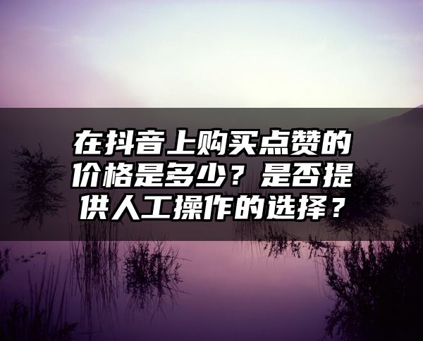 在抖音上购买点赞的价格是多少？是否提供人工操作的选择？