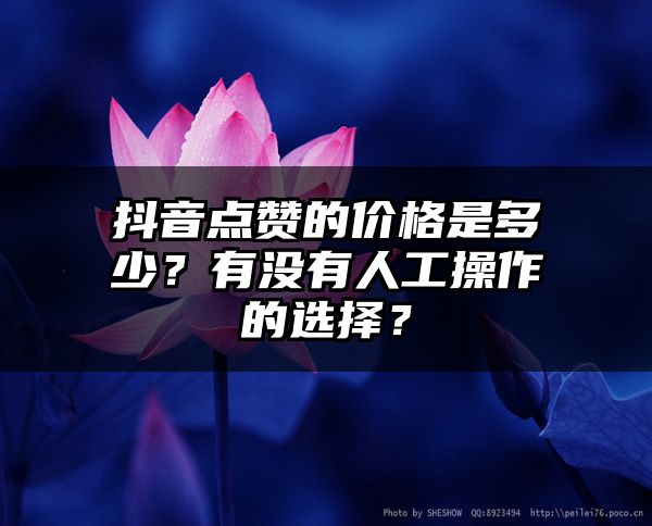 抖音点赞的价格是多少？有没有人工操作的选择？