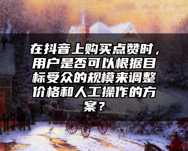 在抖音上购买点赞时，用户是否可以根据目标受众的规模来调整价格和人工操作的方案？