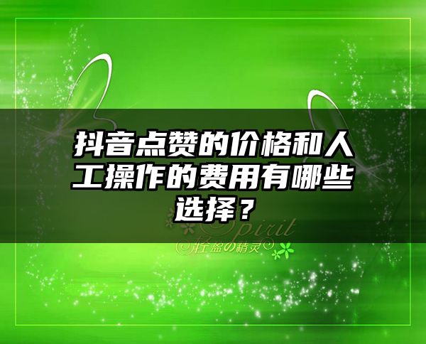 抖音点赞的价格和人工操作的费用有哪些选择？