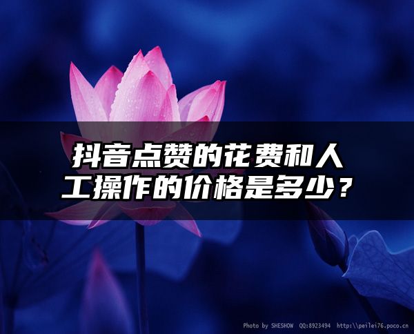 抖音点赞的花费和人工操作的价格是多少？