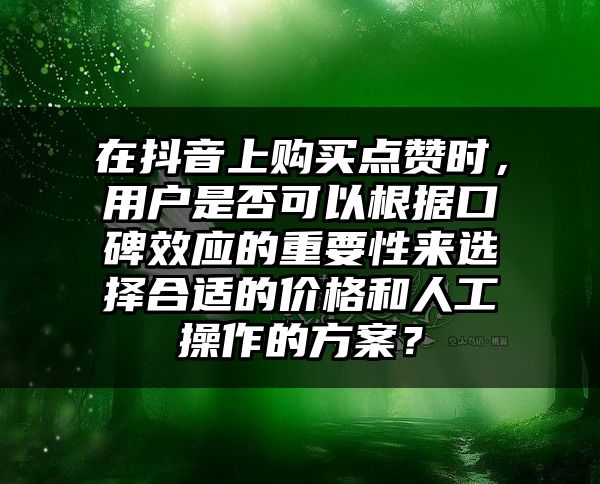 在抖音上购买点赞时，用户是否可以根据口碑效应的重要性来选择合适的价格和人工操作的方案？