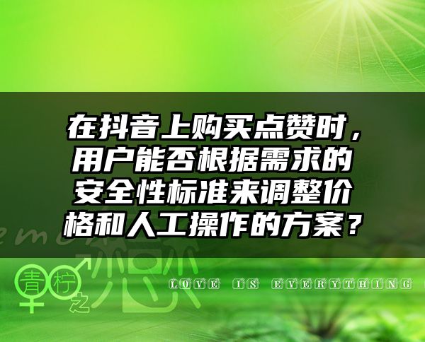 在抖音上购买点赞时，用户能否根据需求的安全性标准来调整价格和人工操作的方案？