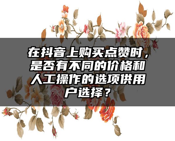 在抖音上购买点赞时，是否有不同的价格和人工操作的选项供用户选择？