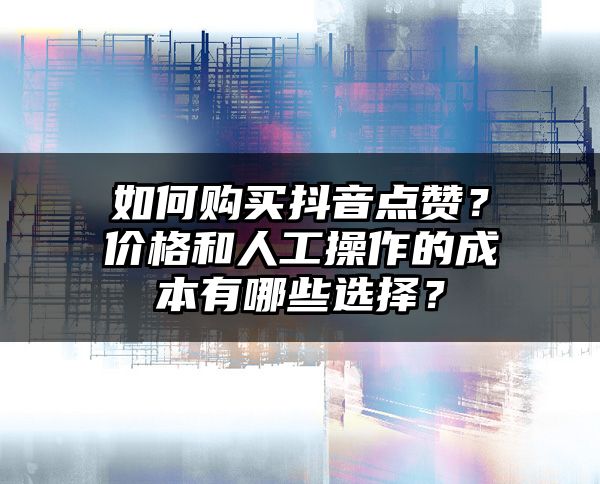 如何购买抖音点赞？价格和人工操作的成本有哪些选择？